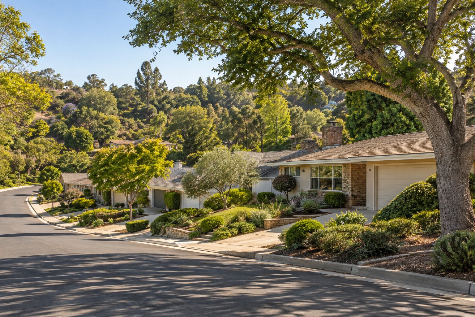Spring Valley